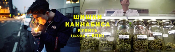 шишки Алексеевка