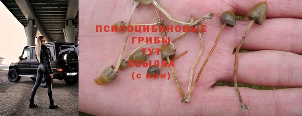 твердый Алексин