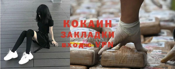 твердый Алексин