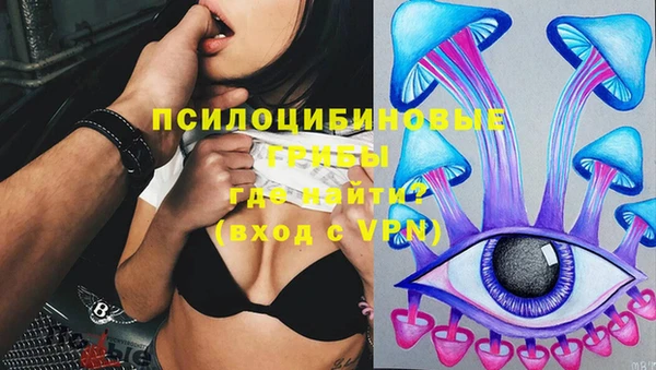 ECSTASY Алзамай