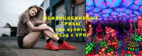 ECSTASY Алзамай