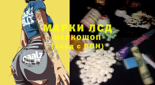 ECSTASY Алзамай