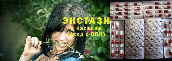 ECSTASY Алзамай